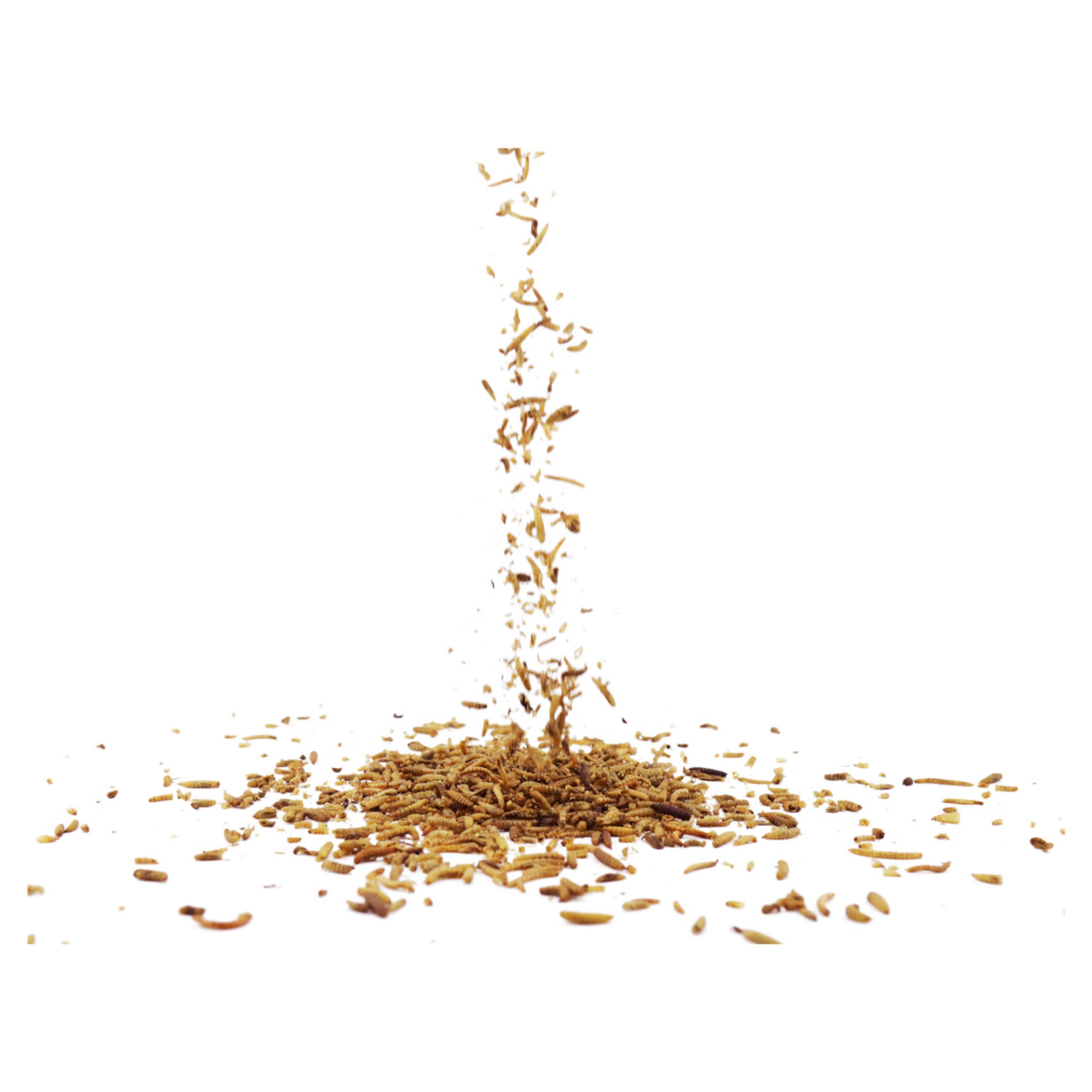 Proteinreiche getrocknete Insektenmischung 1kg | Vogelfutter | CJ Wildlife